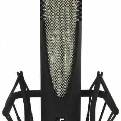 SE Electronics RNR1 Microfono A Nastro