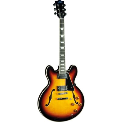 Eko Guitars SA 350