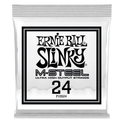 Ernie Ball 0524 M-Steel Wound .024